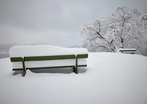 Panchina Verde Nel Parco Coperta Neve — Foto Stock