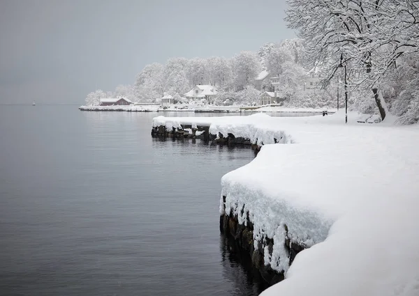 Parco Riva Mare Coperto Neve — Foto Stock