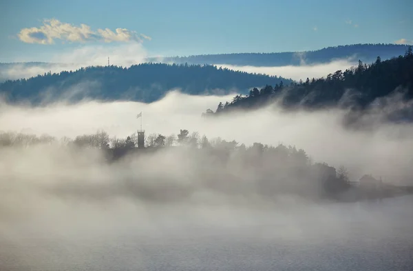 Mgliste Góry Drzewa Leśne Północnej Norwegii Europie — Zdjęcie stockowe