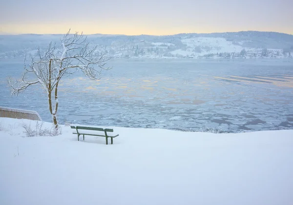 Snowy Park Lavičkou Ledovou Zamrzlou Mořskou Vodou Badeparkenu Drobak Norsko — Stock fotografie