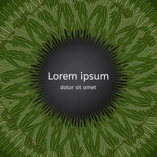 Fond de feuilles de bambou en cercle. Cadre en gazon . — Image vectorielle