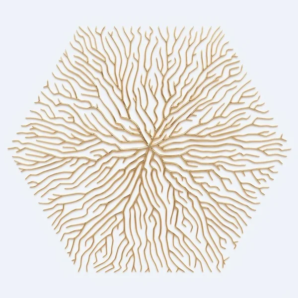 Illustration Illustration Abstraite Forme Circulaire Branches Racines Arbres Pour Conception — Photo