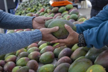 Mango meyvesi alıyorum.