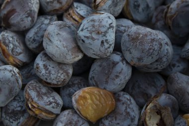 Seyahat kabininde kavrulmuş kestane