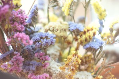 küçük mavi, beyaz, sarı ve mor çiçeklerin arkaplanı