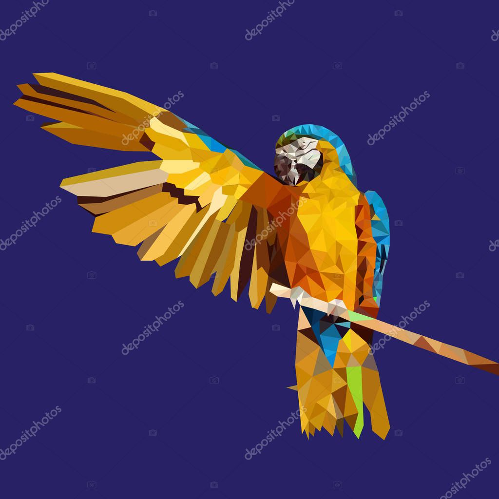 Low poly yellow parrot ,macaw bird vector illustration.