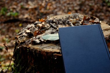 Sonbahar ormanındaki bir kütüğe yaslanmış bir kitap.
