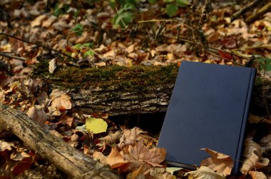 Güz ormanında güzel siyah bir kitap.