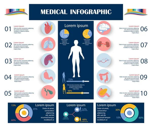 Medizinische Infografik, menschlicher Körper mit Organen. — Stockvektor