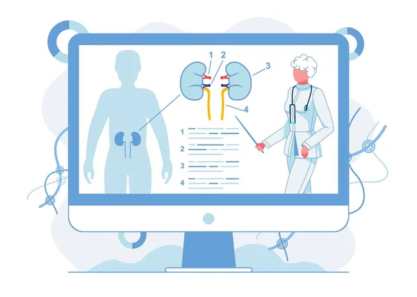 Human Kidneys Functions Study Vector Illustration — ストックベクタ