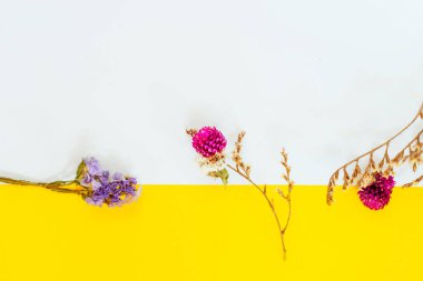 Sarı ve leylak arkaplanda kurumuş çiçekler