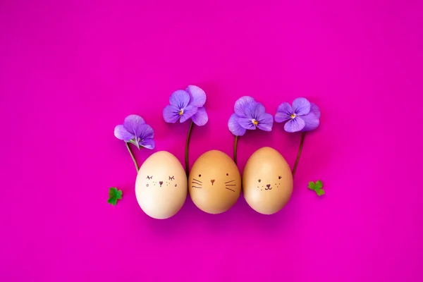 Симпатичные пасхальные яйца на розовом фоне с лиловыми цветами и нарисованными лицами животных — стоковое фото