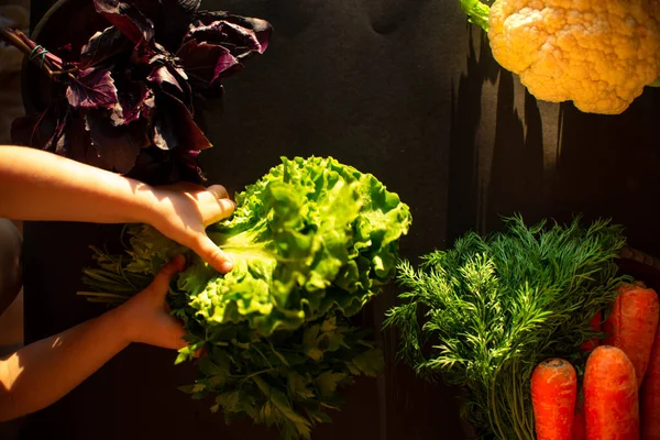 Kinderhände und frisches, helles, schönes Gemüse auf dunklem Hintergrund. — Stockfoto