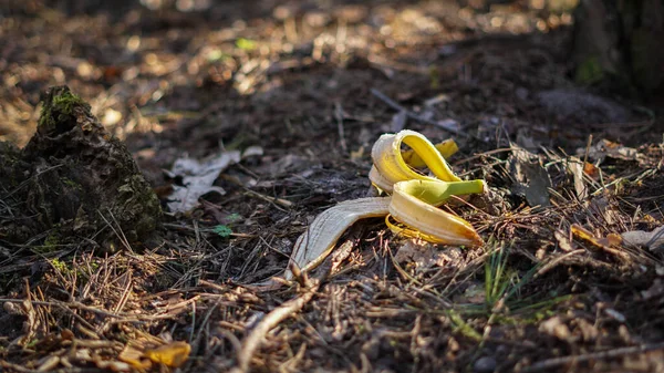 Bananenschil Vloer Het Midden Van Het Park Menselijkheid — Stockfoto