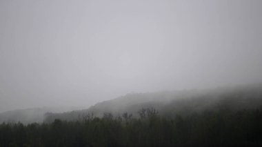 Güzel dağlar sabah sisi ve ilkbaharda örtülmüş.