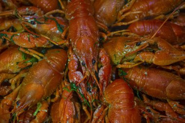 Kırmızı kaynamış kerevit yakınlaşması..