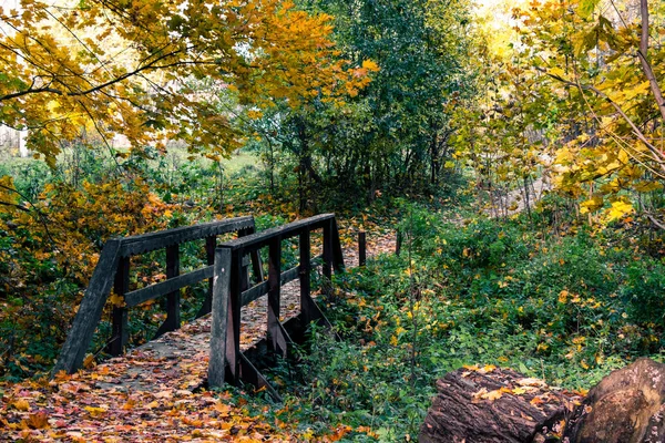 Sonbahar ormanındaki köprü