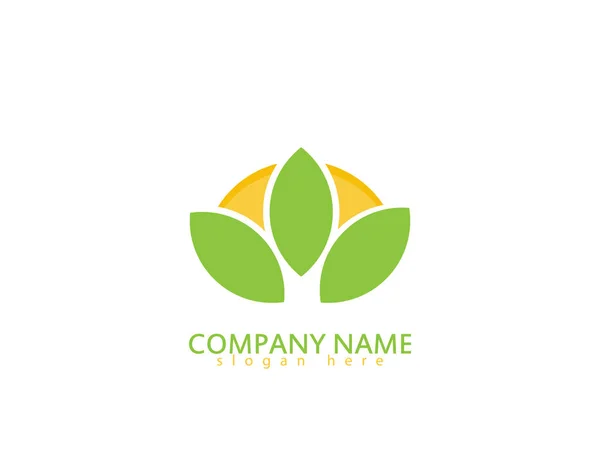 Növény Levél Logo Fehér Háttér Illustartion Tervezés — Stock Vector