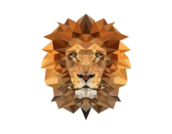 Low Poly Lion Vector White Background Illustartion Design — Stock Vector
