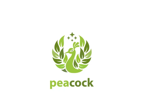 Tavuskuşu logo işareti tasarımı