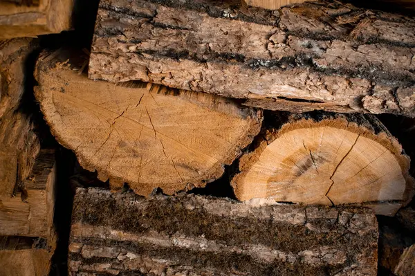 Montón de leña en primer plano, textura visible y grietas en el árbol. Temporada de calefacción, materias primas ecológicas. Enfoque selectivo — Foto de Stock