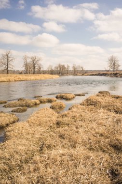 Serin sonbahar Bow Nehri dikey yatay