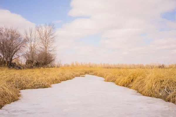 Frozen Grassland Creek — Stock Photo, Image