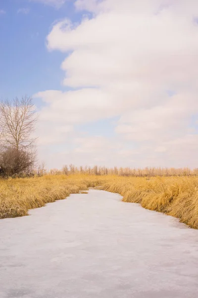 Портретный пейзаж замерзшего ручья — стоковое фото