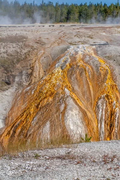 Art arda sıralı Şofben Yellowstone