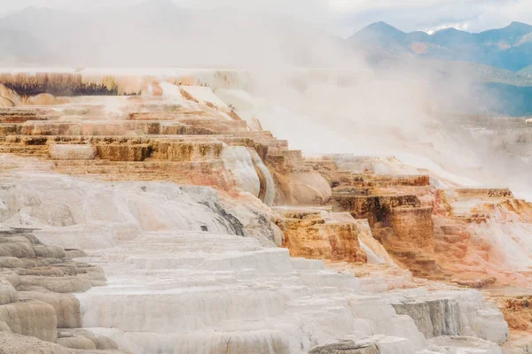 Kanarya Springs Yellowstone