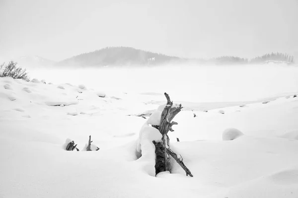 Deadwood Kananaskis paysage du lac — Photo