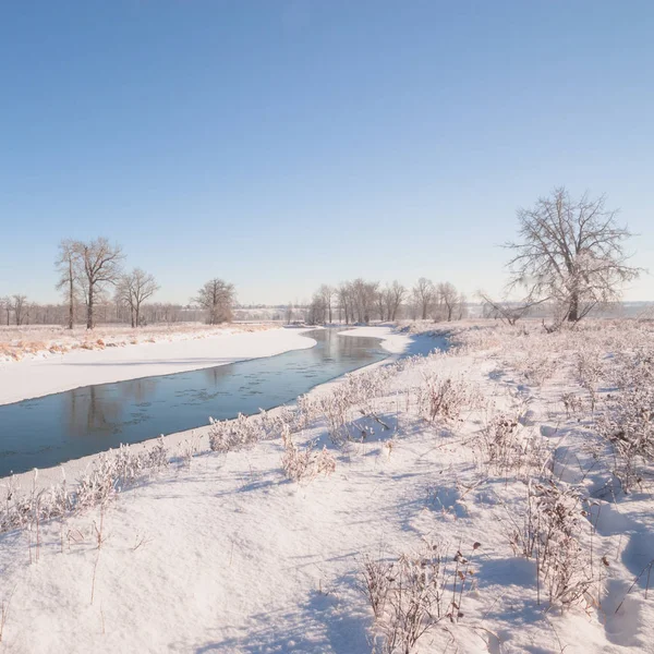 Nieve fresca en el río Bow — Foto de Stock
