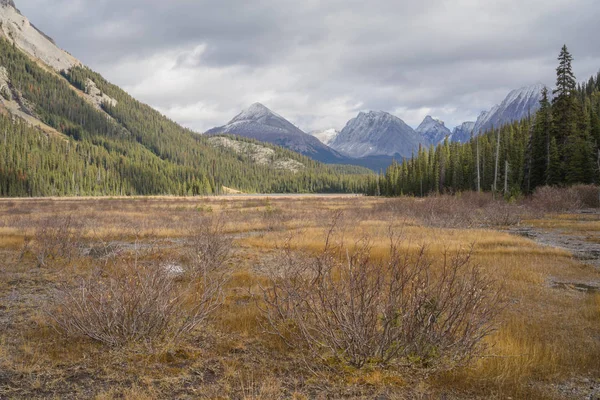 Landscape of the Meadow in Burstall Pass — Stock Photo, Image