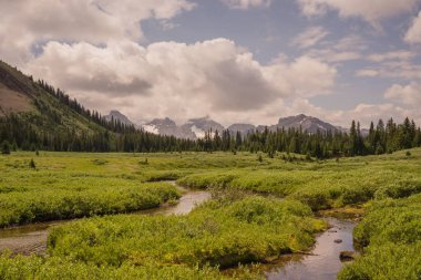Bir dağ çayır dere