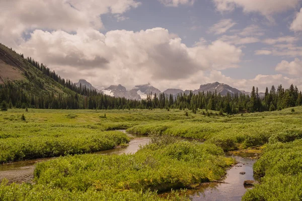 Bir dağ çayır dere