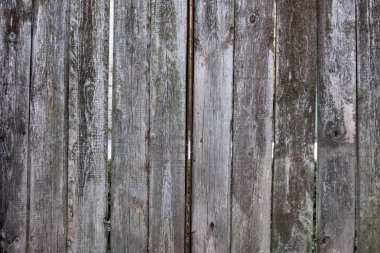 grunge eski ahşap doku arkaplanı