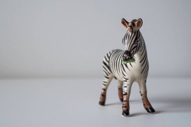 Beyaz arka planda porselen zebra biblosu