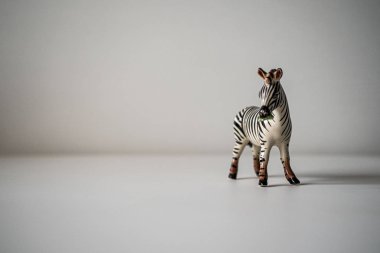 Beyaz arka planda porselen zebra biblosu