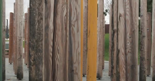 Огромные деревянные столбы с красивой текстурой. Концепция зелёного общества — стоковое видео