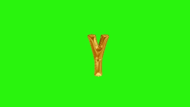 Golden letter Y. Gold foil helium balloon alphabet floating on green screen — Stock Video