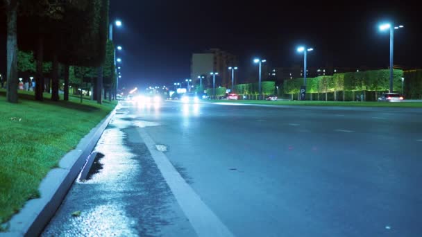 Os carros dirigem ao longo da estrada à noite no asfalto molhado ao lado de um gramado verde no verão — Vídeo de Stock