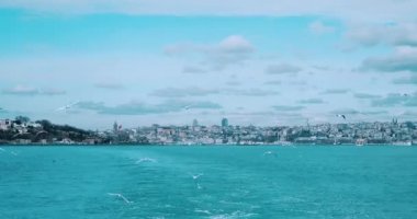 View from ship on blue sea with flying white seagulls and city on the horizon