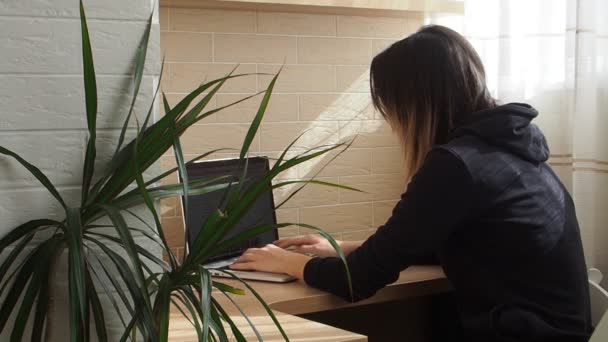 Mladý anonymní hacker žena v černé mikině je psaní na klávesnici — Stock video