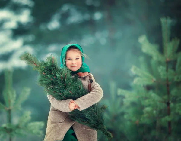 Flickan Och Räven Vinter — Stockfoto