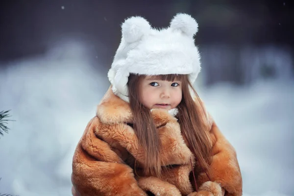 Dívka Fox Zimě — Stock fotografie