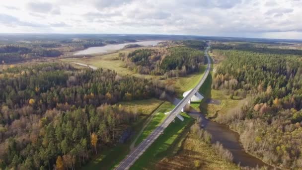 Belle vue aérienne du pont routier sur la rivière entourée par la forêt — Video