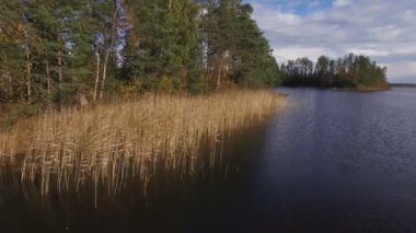 kıyı sazlık ve çam ağaçları ile güzel havadan görünümü
