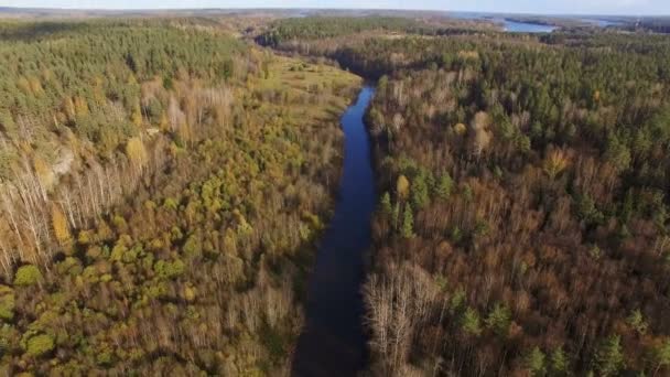 Mooie luchtfoto van bos rivier in Karelië — Stockvideo