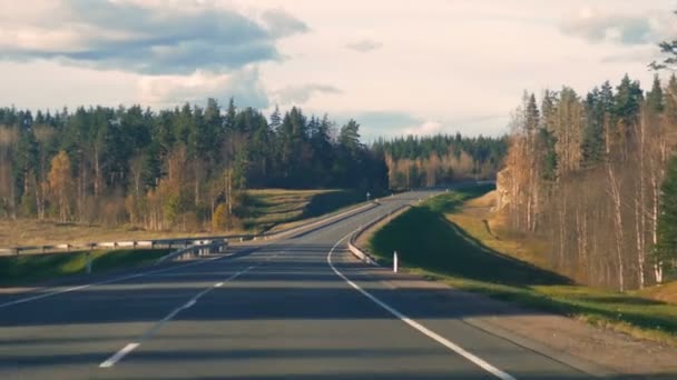 Hareket eden bir arabadan yolun ağaçların arasında görünümünden — Stok video