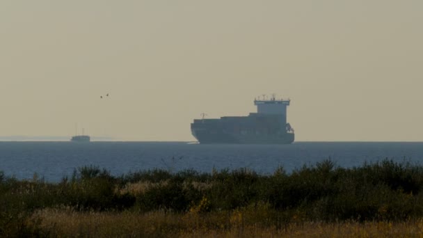 Containerschiff fährt über das Wasser entlang der Küste. Saint-petersburg, russland, 2016 — Stockvideo